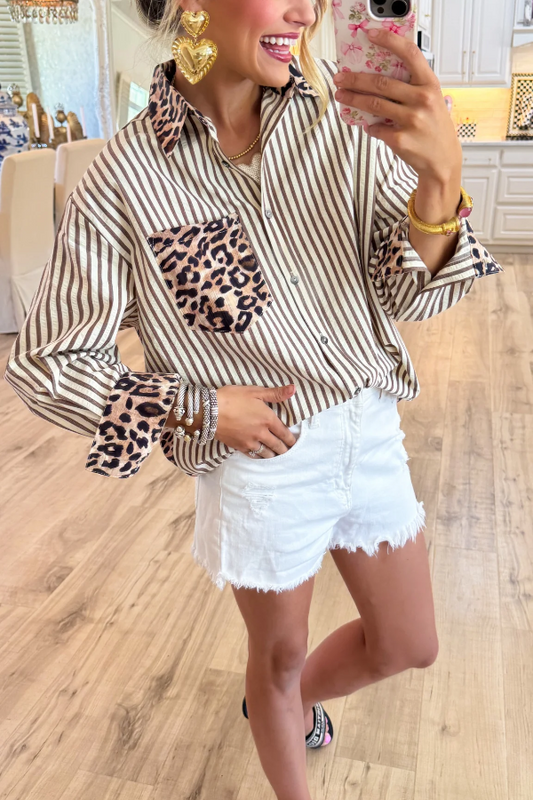 Brown Leopard Print Stripe Long Sleeve Top