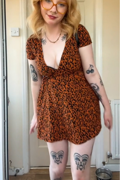 Leopard Print V-Neck Mini Dress