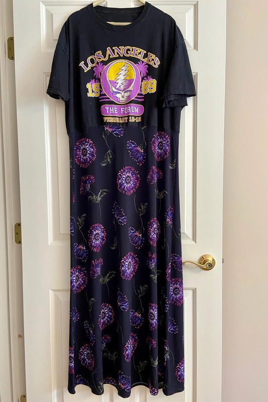 Grateful Paneled Dress